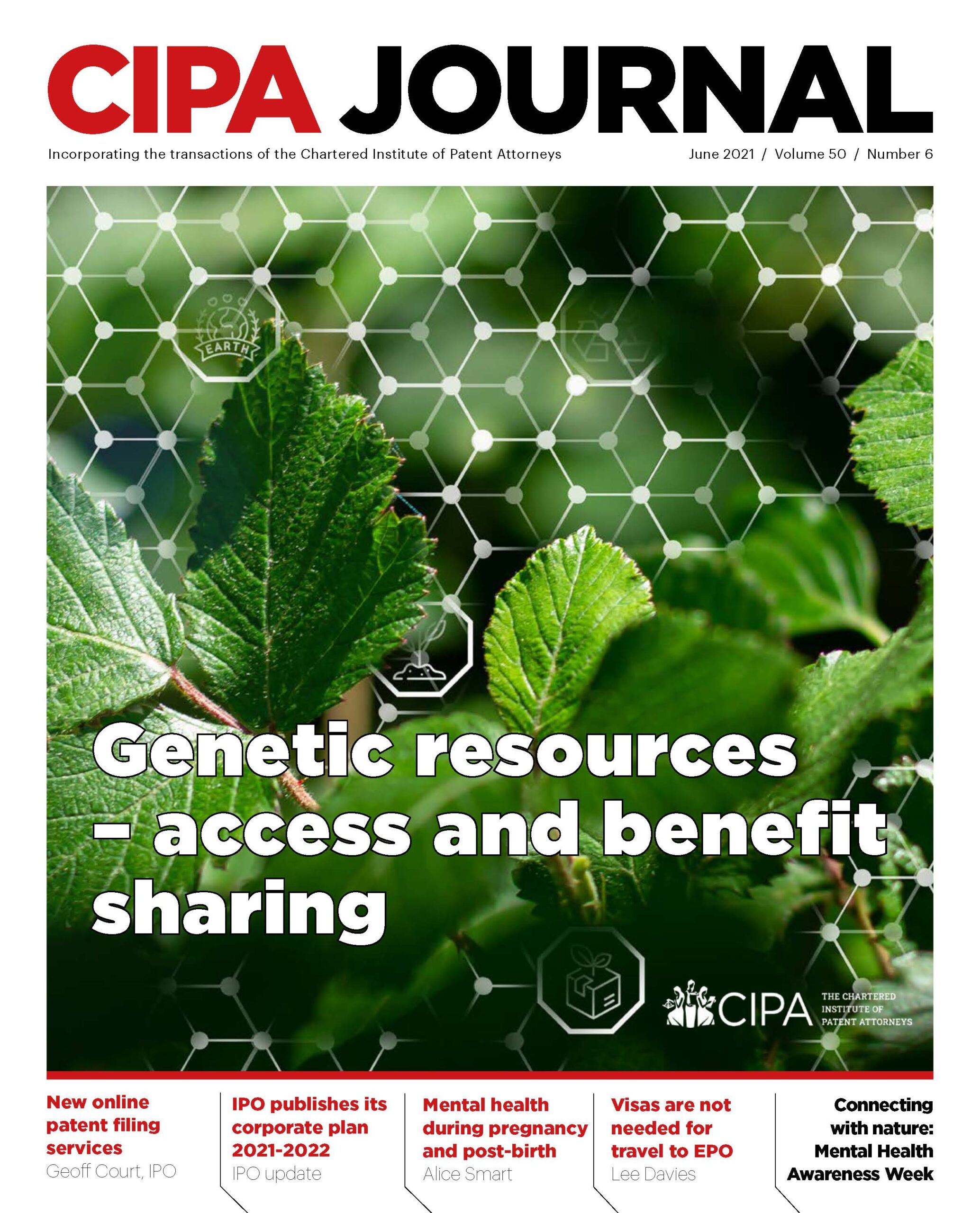 CIPA Journal, cover 2021